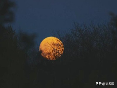 朋友圈适合发的爱情短语